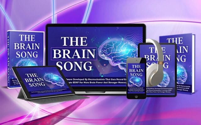 The Brain Song